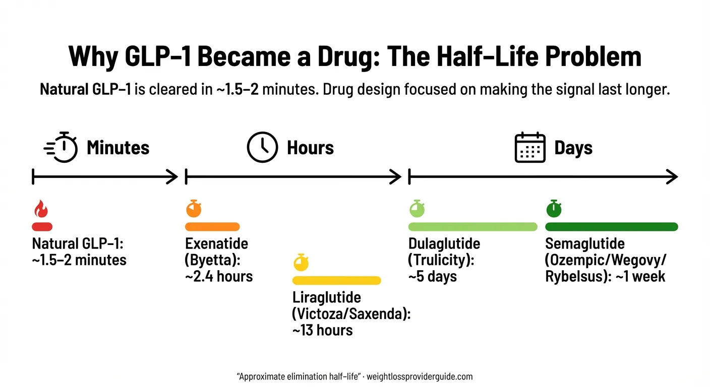 GLP-1 half-life comparison chart showing natural GLP-1 lasts 2 minutes versus semaglutide lasting 7 days