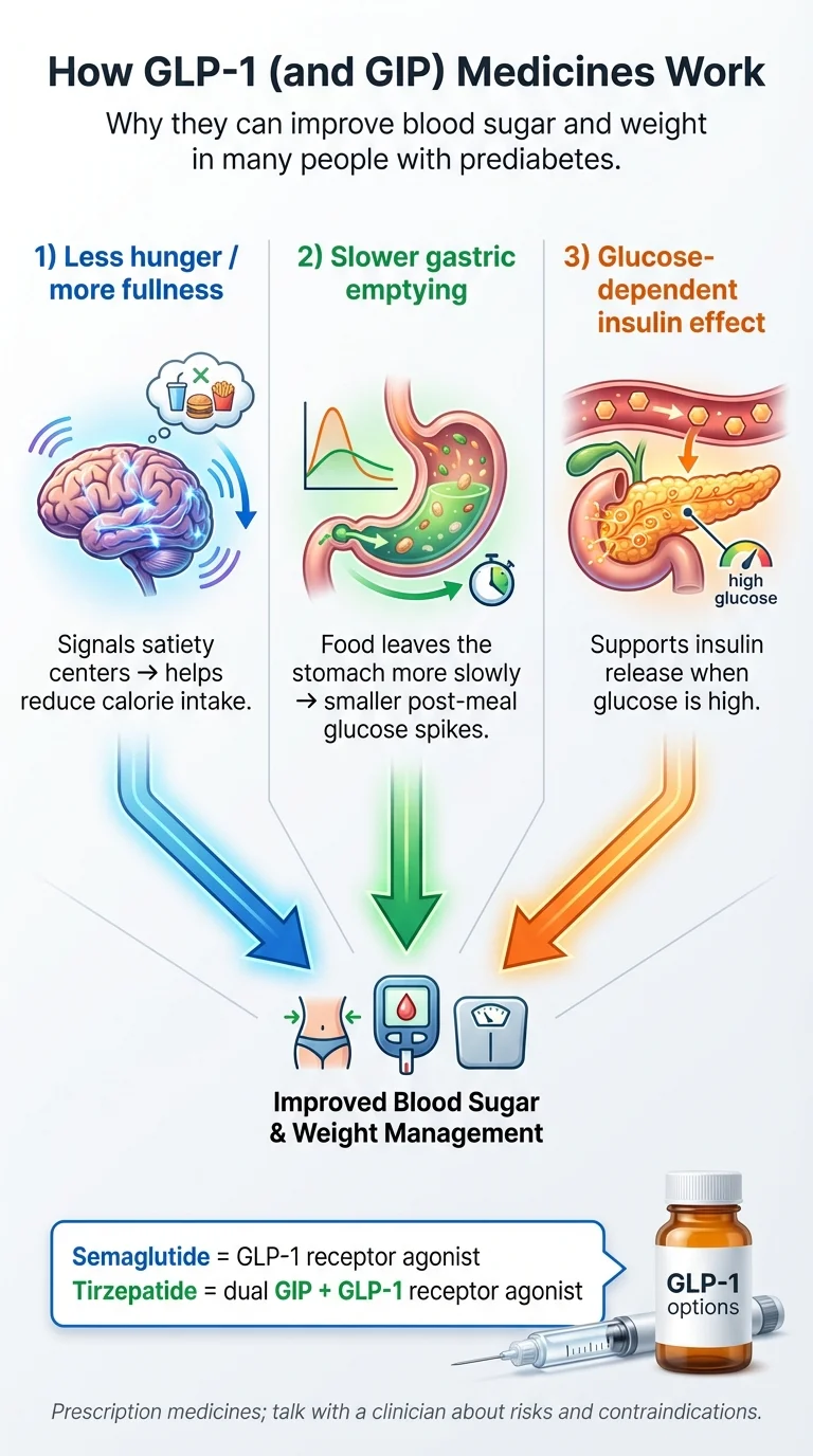 How GLP-1 and GIP medicines work for prediabetes: diagram showing less hunger, slower gastric emptying, and glucose-dependent insulin effect leading to improved blood sugar and weight management