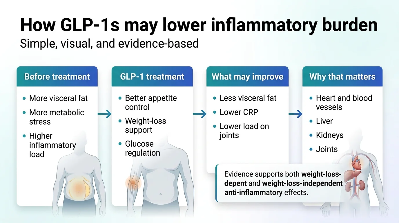 How GLP-1s may lower inflammatory burden: from more visceral fat and metabolic stress before treatment, through appetite control, weight loss, and glucose regulation, to less visceral fat, lower CRP, and lower load on joints — benefiting heart, liver, kidneys, and joints