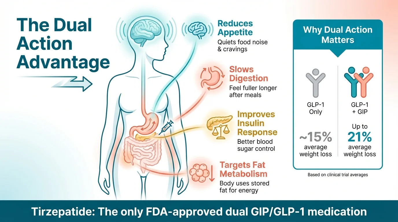 The Dual Action Advantage of Tirzepatide: Reduces appetite (quiets food noise & cravings), Slows digestion (feel fuller longer after meals), Improves insulin response (better blood sugar control), Targets fat metabolism (body uses stored fat for energy). GLP-1 Only produces ~15% average weight loss, while GLP-1 + GIP produces up to 21% average weight loss. Tirzepatide is the only FDA-approved dual GIP/GLP-1 medication.